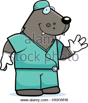 300x349 A Cartoon Illustration Of An Dog Doctor In Scrubs Stock Vector Art
