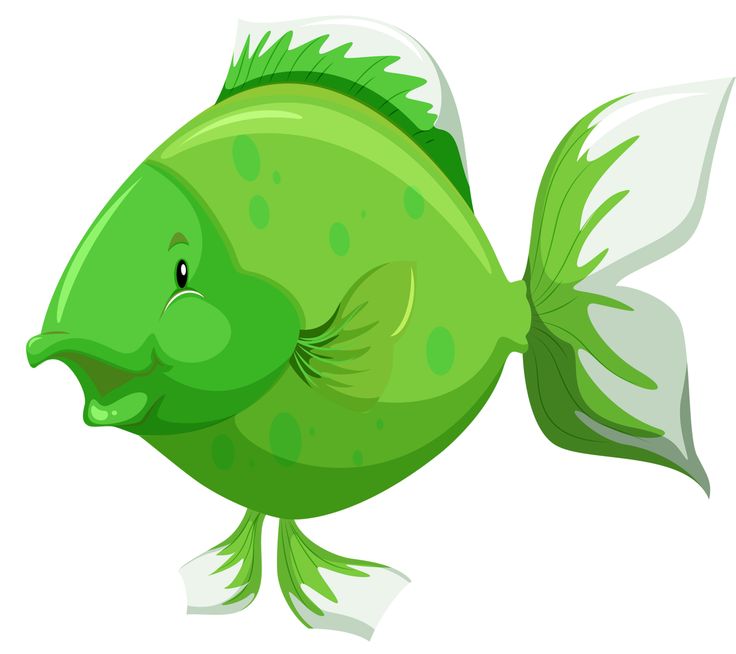 736x654 430 Best Clipart Fish And Sea Images Fishing, Fish