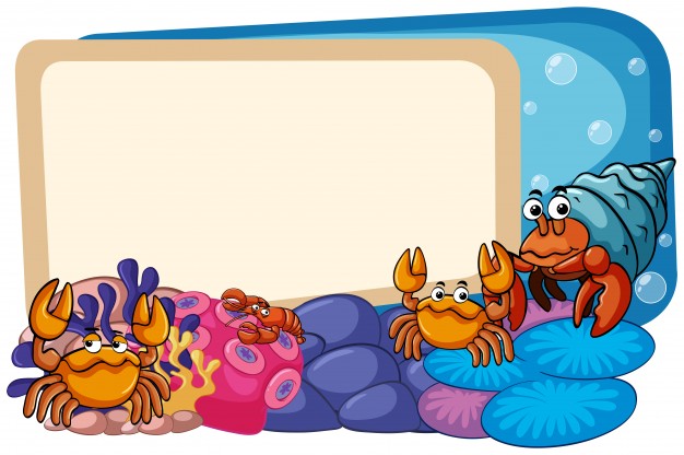 626x416 Border Template With Sea Animals Underwater Vector Premium Download
