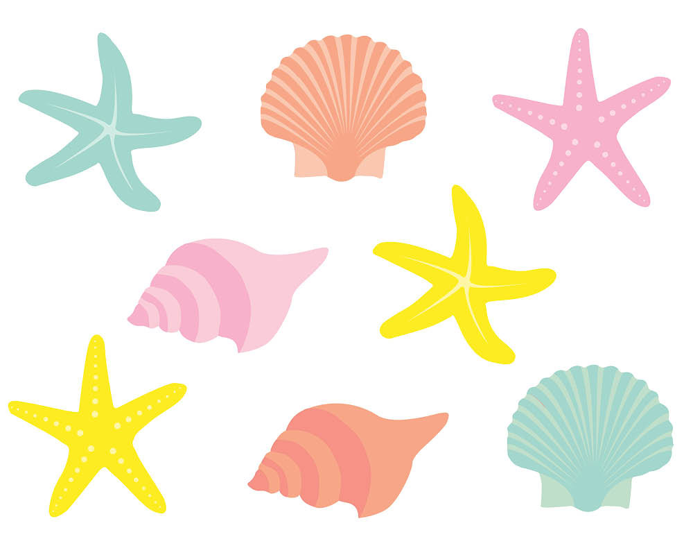 1000x800 Sea Shells Clip Art