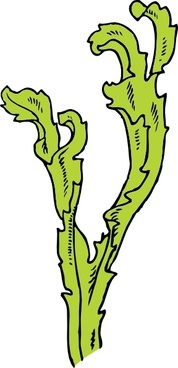 178x368 Seaweed Free Vector Download (31 Free Vector) For Commercial Use