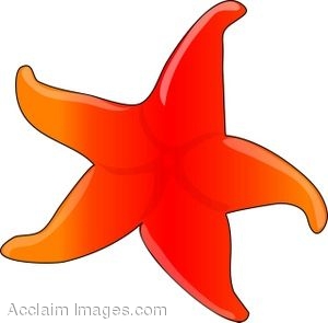 300x295 Coral Starfish Clipart Clipart Panda