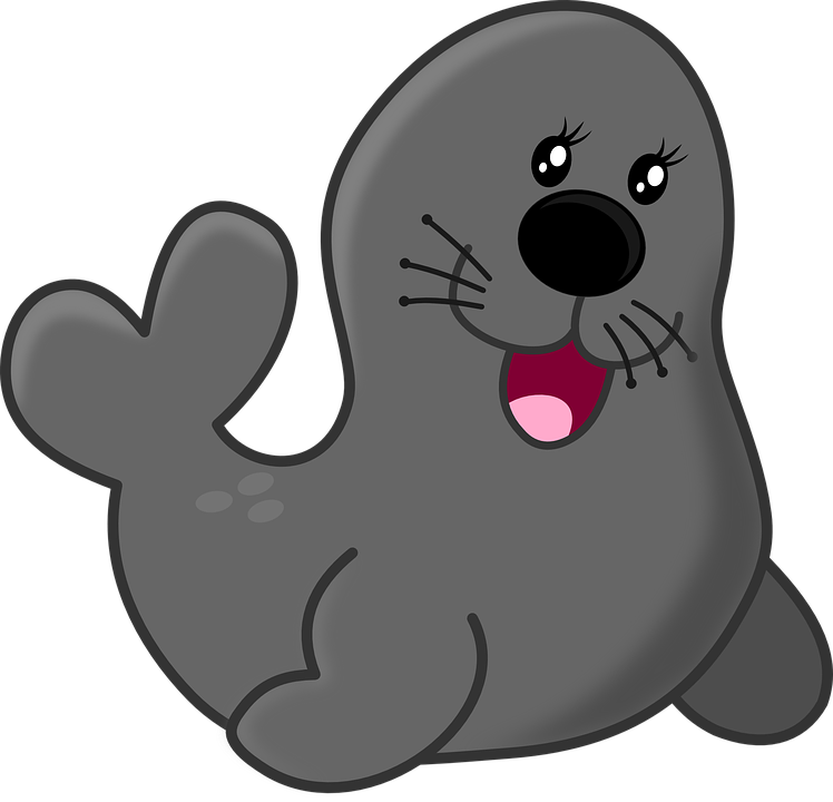 748x720 Sea Lion Clipart Sea Creature