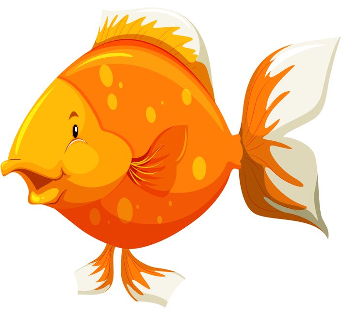 736x657 430 Best Clipart Fish And Sea Images Fishing, Fish