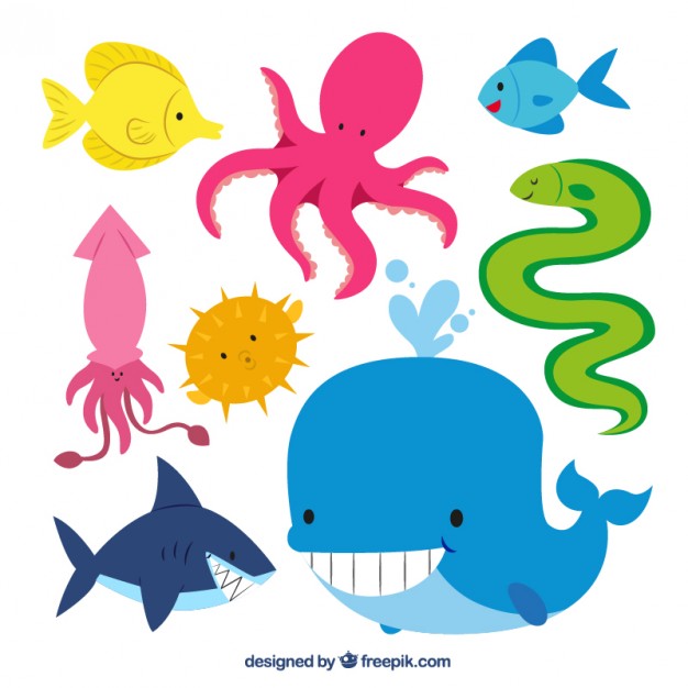 626x626 Octopus Vectors, Photos And Psd Files Free Download