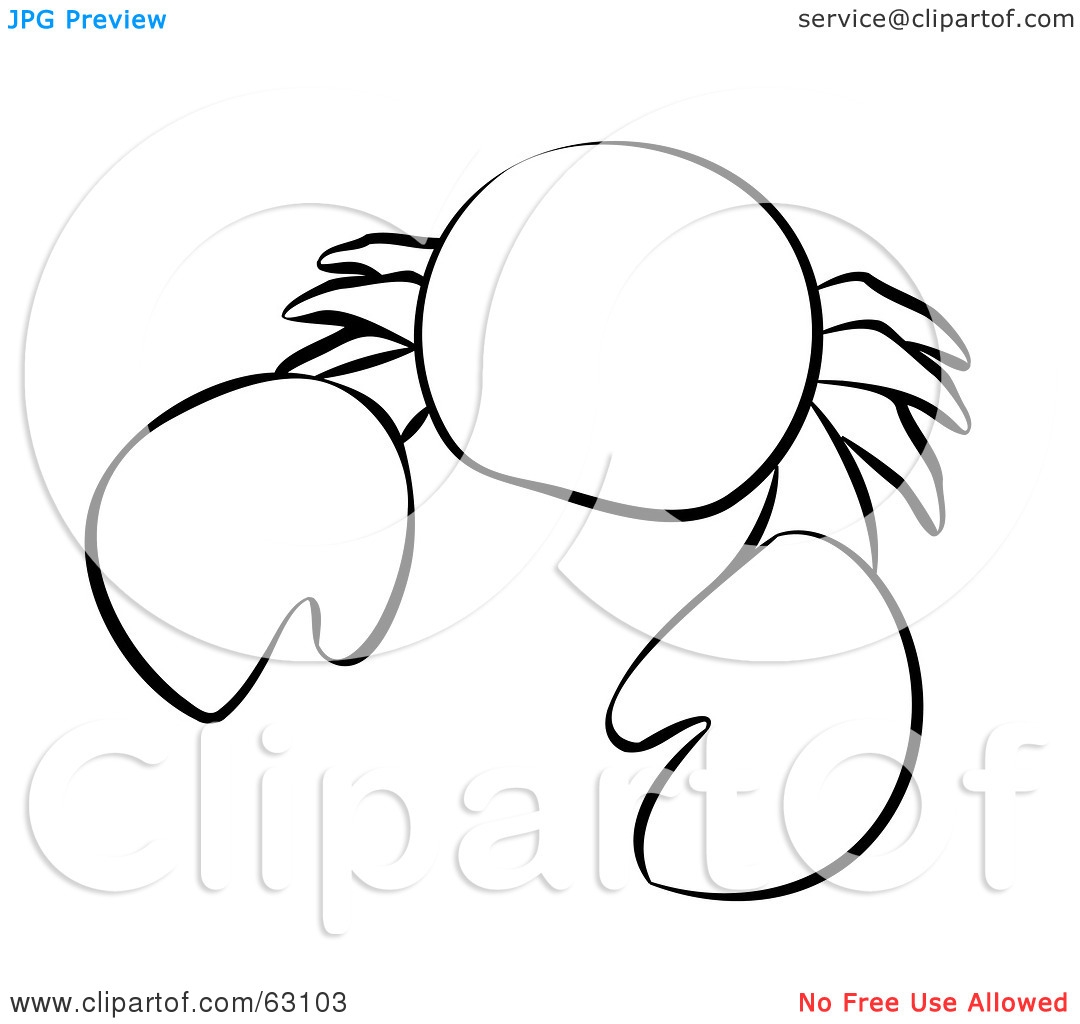 1080x1024 Ocean Animal Clipart Black And White