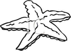 300x216 Art Image Black And White Starfish