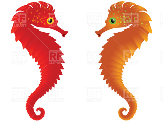 523x392 Sea Horses Royalty Free Vector Clip Art Image