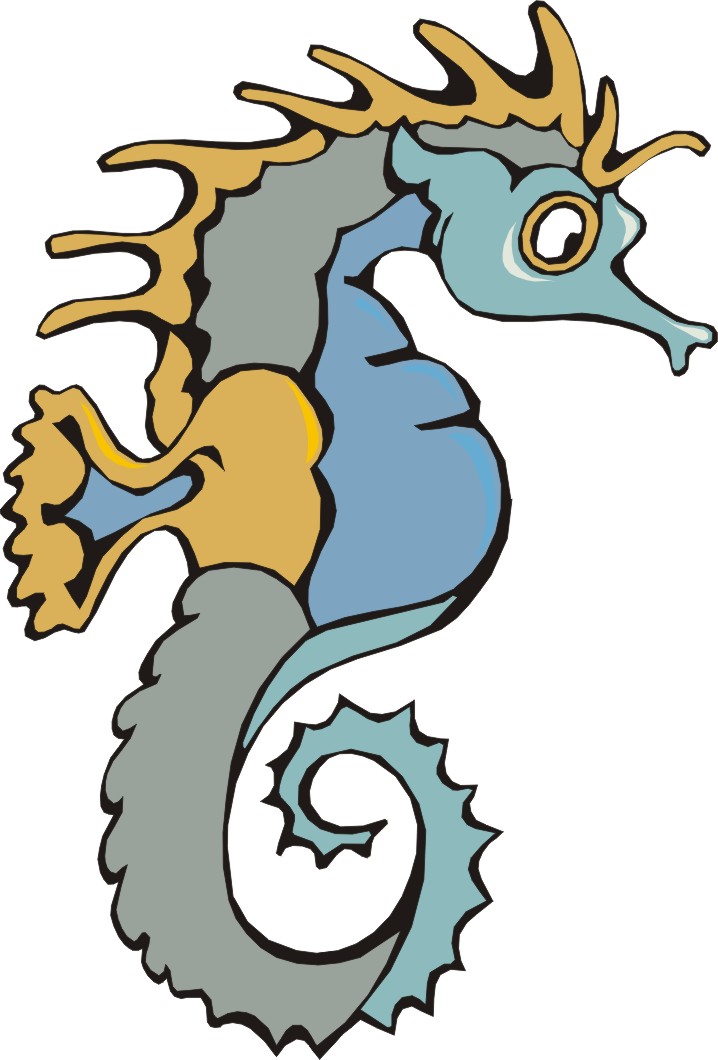 718x1060 Seahorse Cartoon Pictures