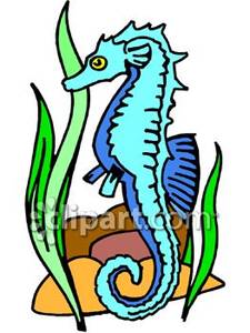 225x300 Blue Seahorse And Seaweed