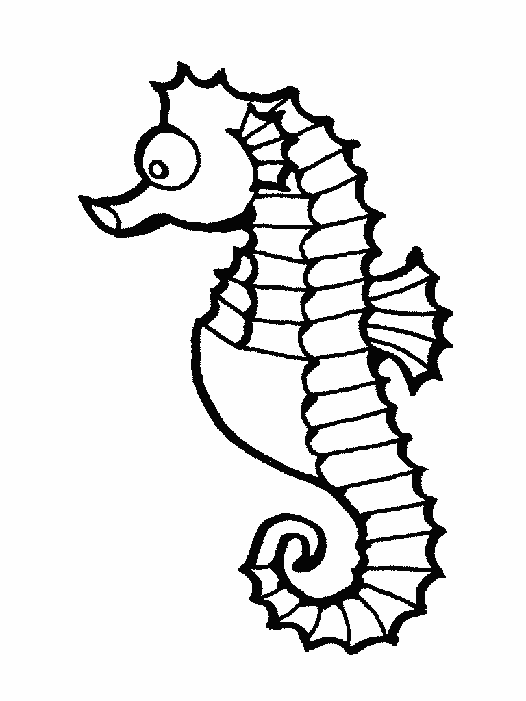 768x1024 Drawn Seahorse Black And White