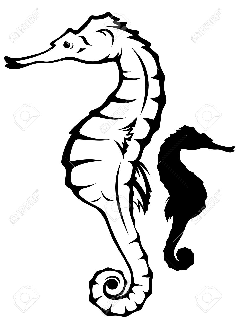965x1300 Sea Horse (Hippocampus) Vector Illustration Black And White