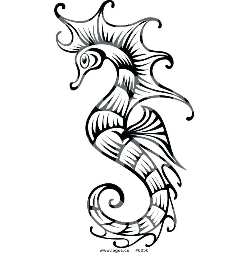 863x880 Seahorse Fish Outline Coloring Page Clipart Picture Of Seahorse