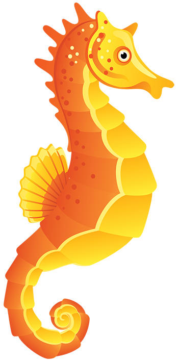 351x710 Seahorse Clipart Free Clip Art Images Image