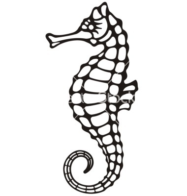 380x400 Seahorse Vector By Sifis