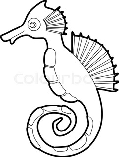 242x320 A Sea Horse Stock Vector Colourbox