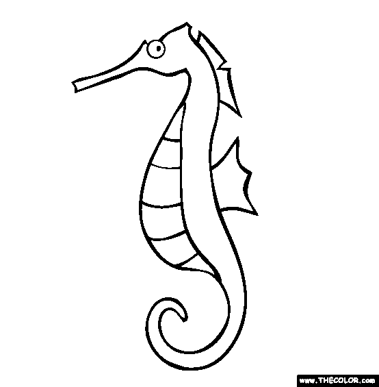 554x565 Black Clipart Seahorse
