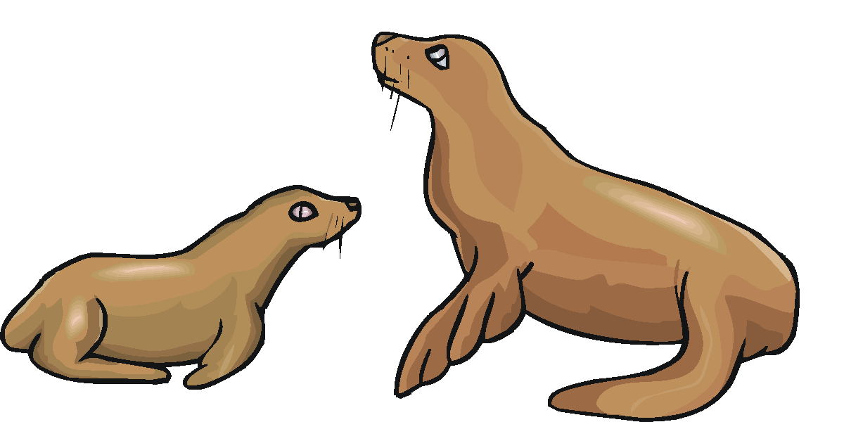 1200x600 Sea Lion Clip Art Free Clipart Images