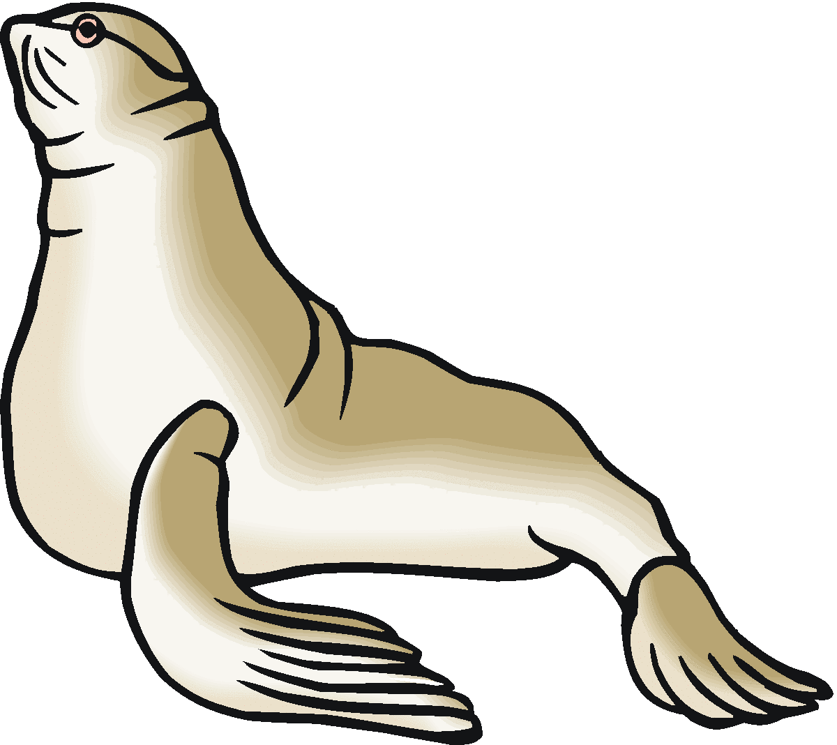 1200x1068 Seal Clipart Sea Lion
