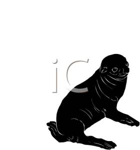 280x300 Silhouette Of Baby Sea Lion