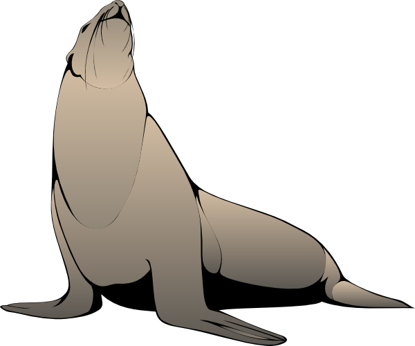 600x500 Free Sea Lion Clip Art