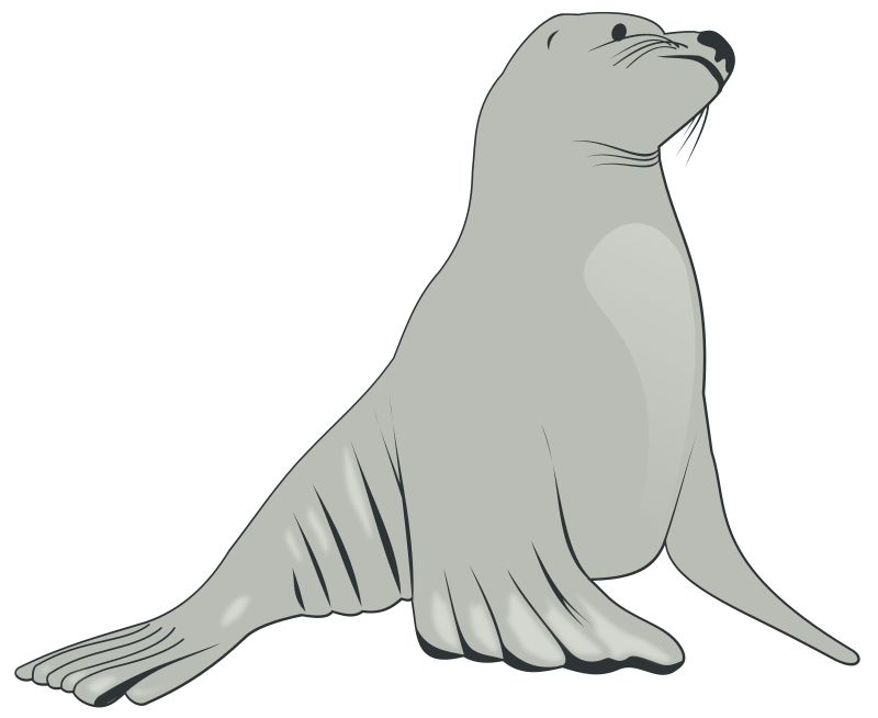 800x654 Free To Use Amp Public Domain Sea Lion Clip Art