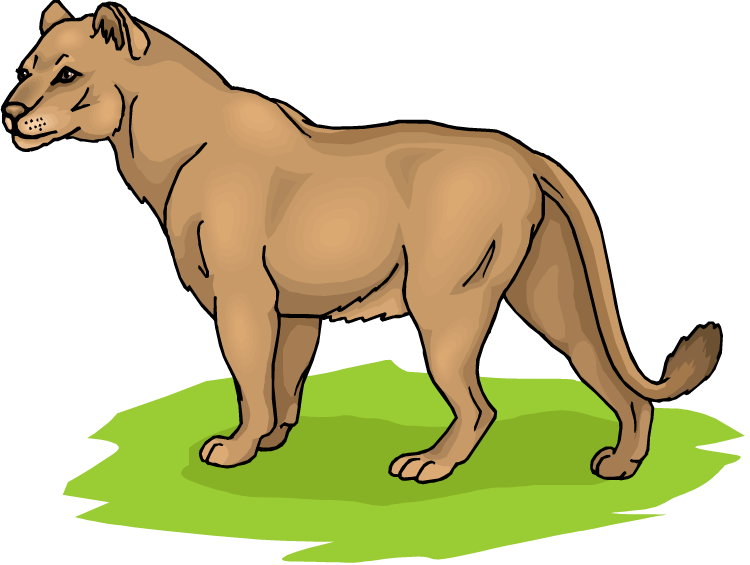 750x565 Female Lion Clipart 101 Clip Art