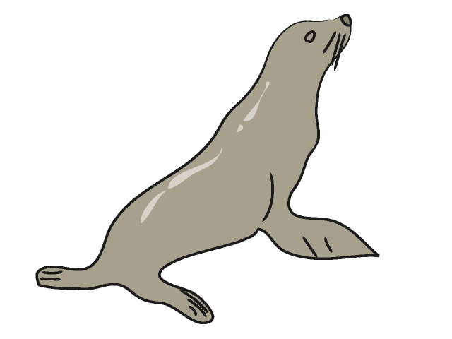 640x480 Sea Lion Clip Art Many Interesting Cliparts