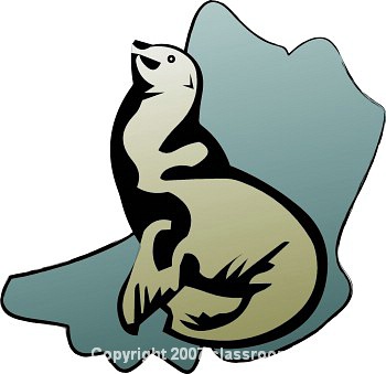 350x339 Sea Lion Clipart Animated