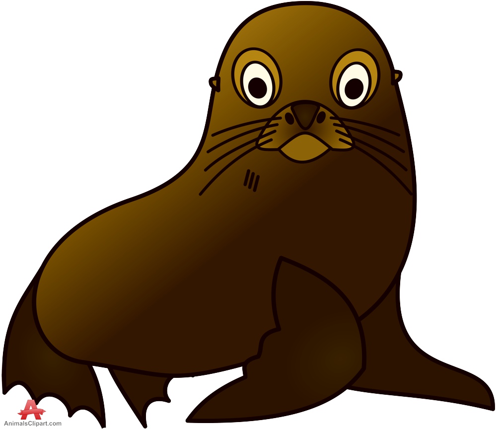 999x864 Sea Lion Clipart Sea Creature