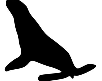 340x270 Sea Lion Decal Etsy