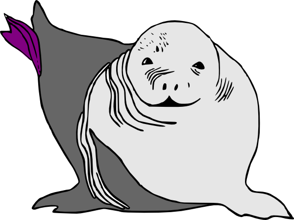 600x449 Baby Seal Baby Sea Lion Clip Art