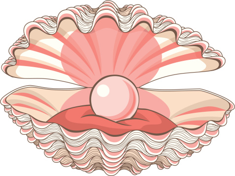 477x359 Pearl Clipart Sea Shell