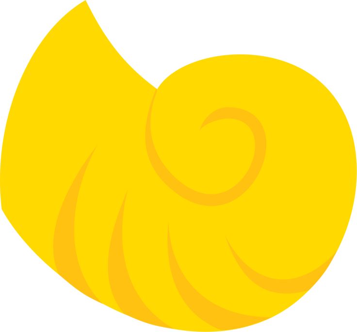 736x685 196 Best Sea Shells Images Seashells, Beach Photos