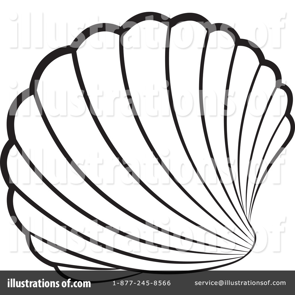 1024x1024 Sea Shell Clipart