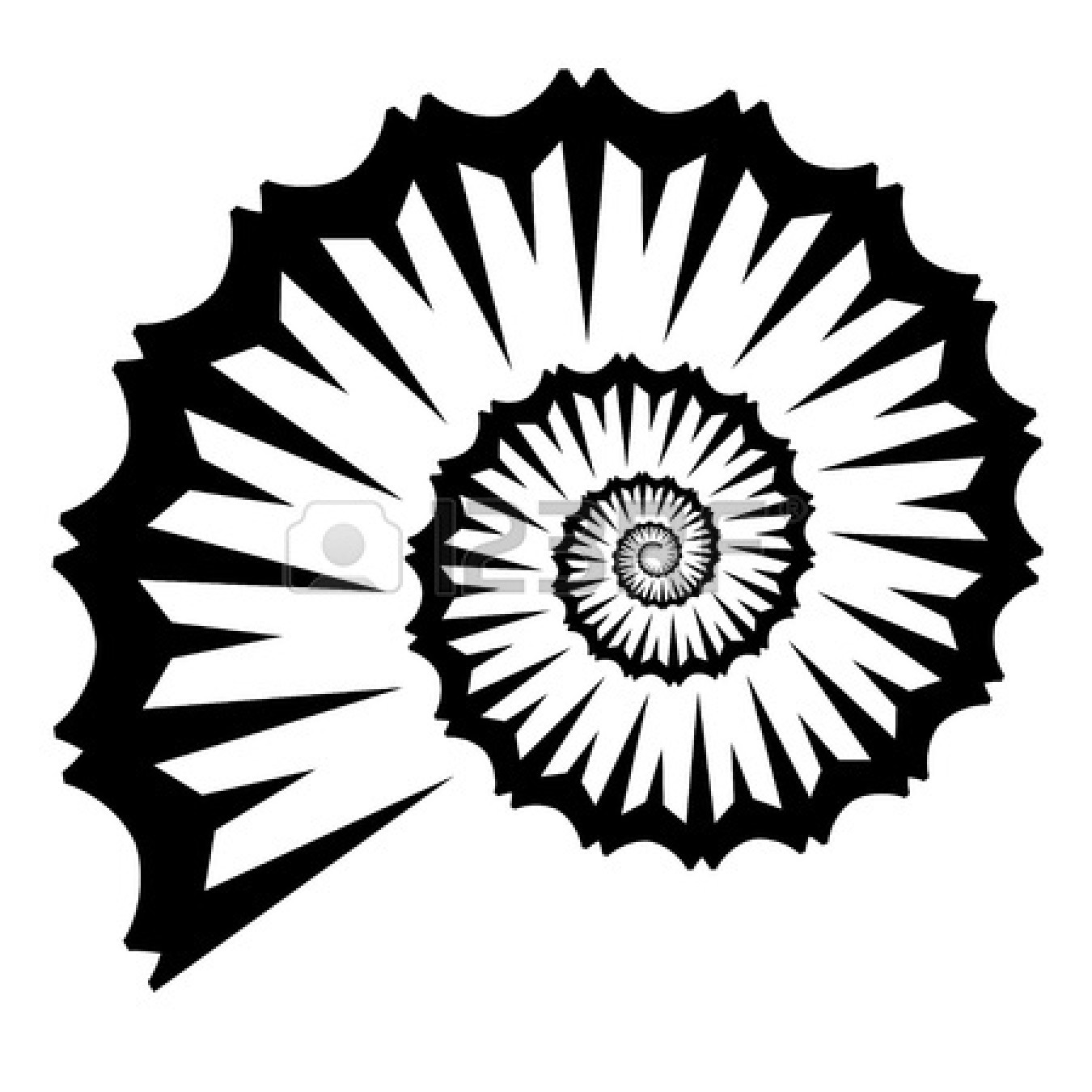 1350x1350 Shell Clipart Starfish