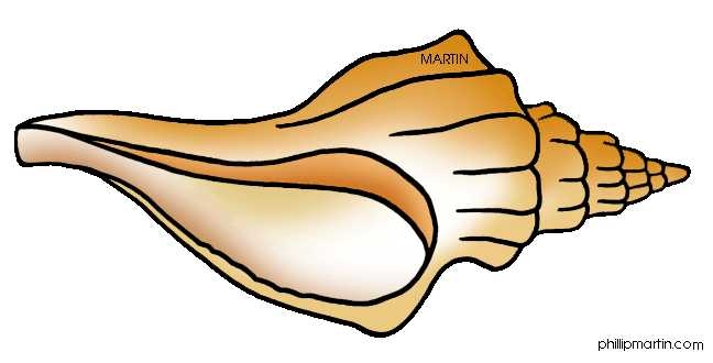 648x330 Top 10 Shells Clipart