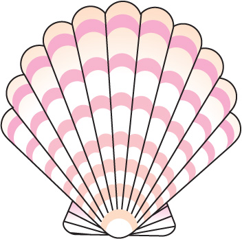 352x348 Shell Clipart Cartoon