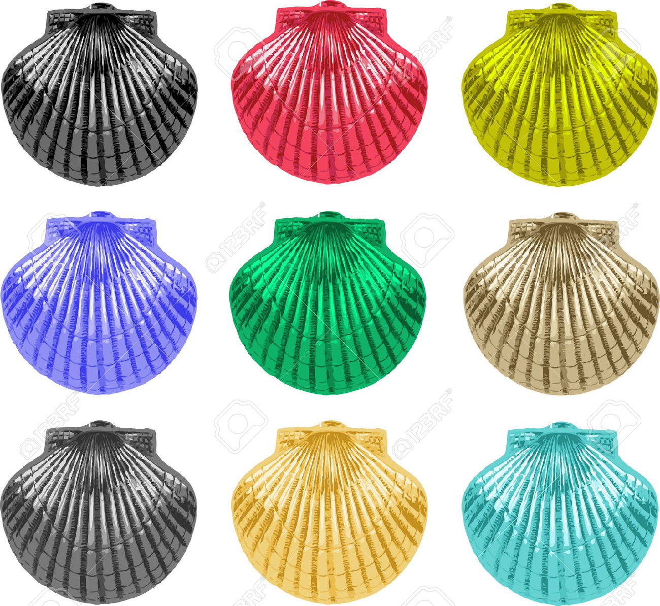 1300x1194 Shell Clipart Colorful