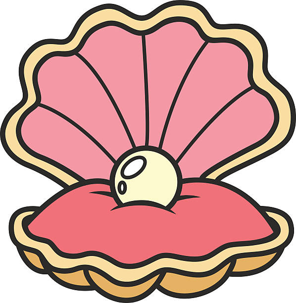 598x612 Shell Clipart Pink Seashell