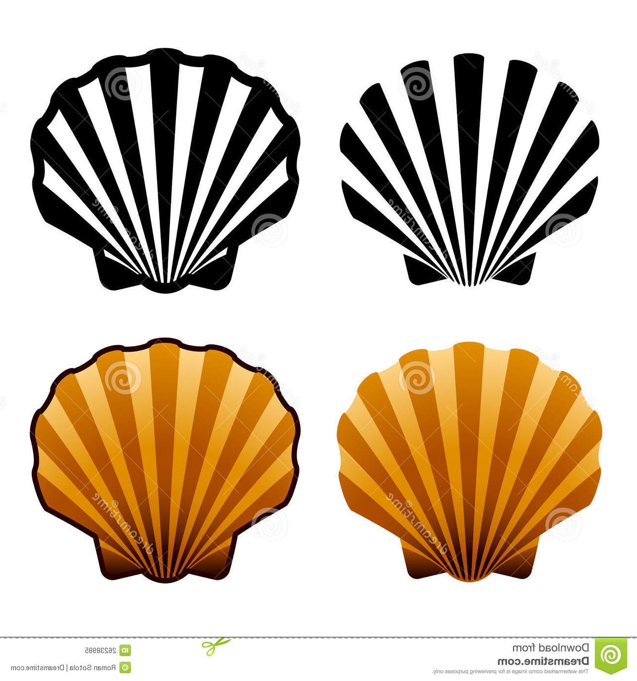 1300x1390 Unique Seashell Silhouette Sea Shells Images