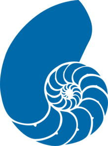 219x298 Green And Blue Nautilus Shell Clip Art