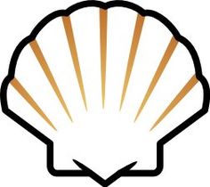 Sea Shell Picture