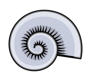 300x268 Cartoon Circular Sea Shell Vector Royalty Free Stock Image