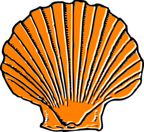 298x273 Cartoon Clipart Seashell