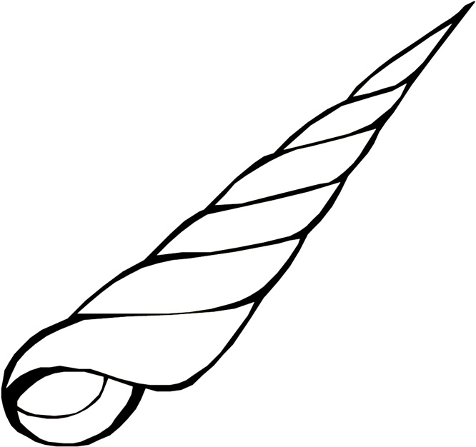 666x626 Sea Shells Coloring Page Printable 4