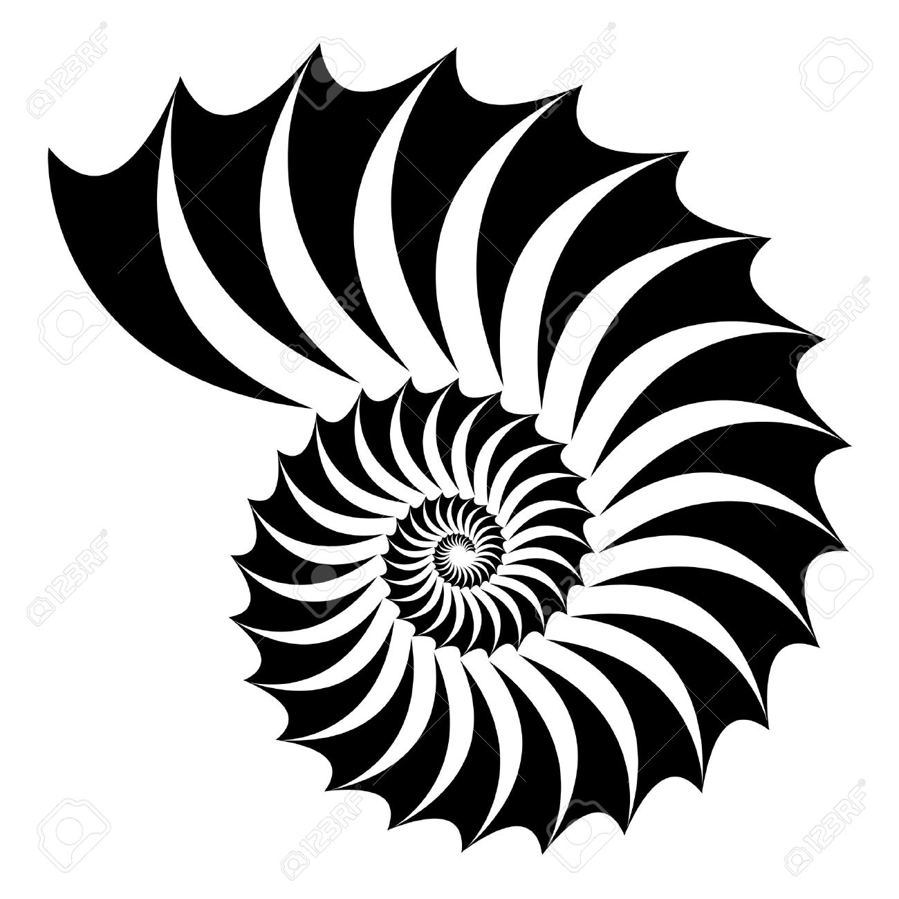 1300x1300 Fibonacci Shell Clip Art Cliparts