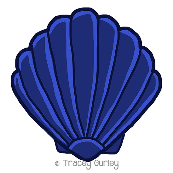 570x570 Navy Scallop Shell