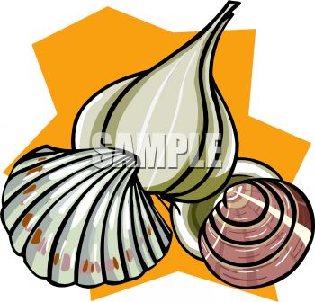 350x336 Royalty Free Clipart Image Seashells
