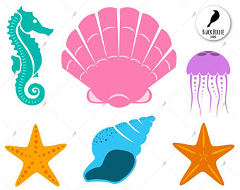 340x270 Sea Shell Svg Etsy